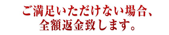 �W���W�����t�g�@�w��